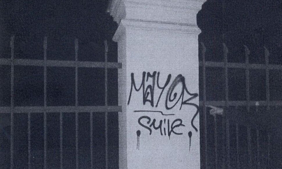 Naktinio sienų tepliotojo „menas“