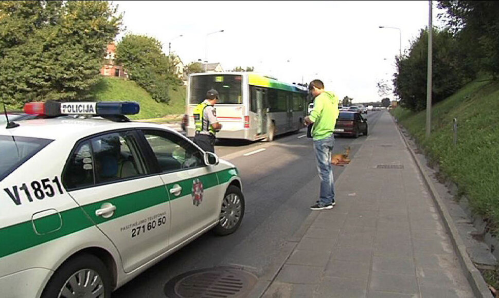 Ukmergės g. į kelią išbėgo stirna