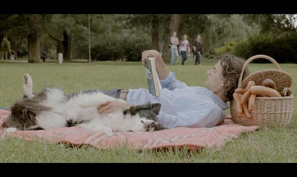Tarptautinio Kauno kino festivalio reklaminis anonsas „Šuo“