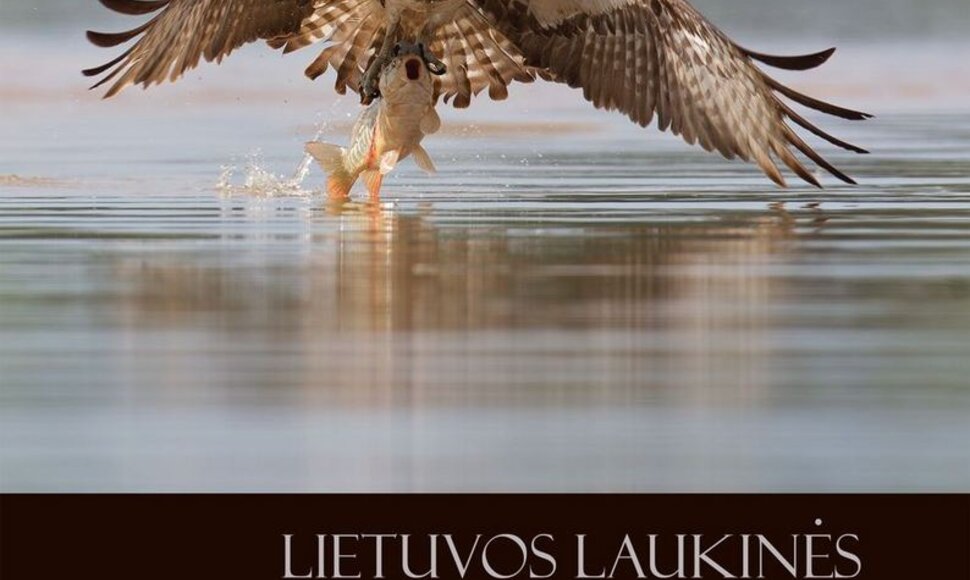 Fotografijų konkurso „Gintarinis žaltys 2012“ albumas