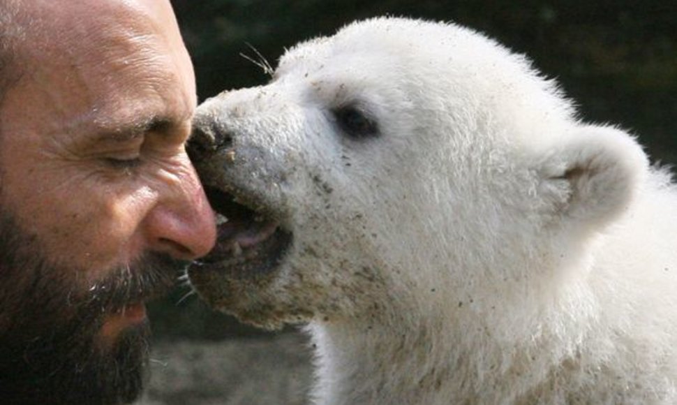 Knutas gimė Berlyno zoologijos sode ir buvo atstumtas mamos