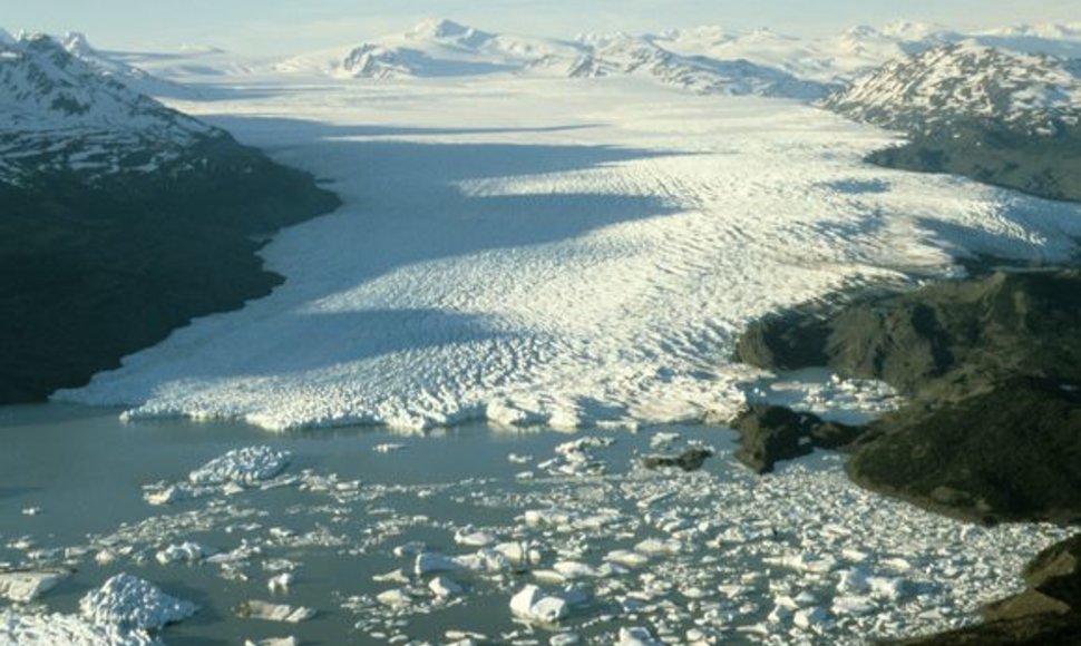 Pilkasis ledynas Čilėje