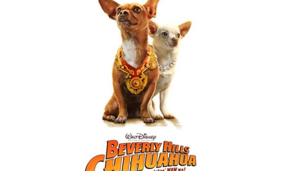 Filmas: Čihuahua iš Beverli Hilso | Beverly Hills Chihuahua  