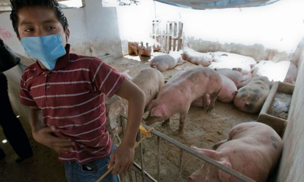 Europos Sąjungos pareigūnai svarsto, kad dėl kiaulių gripo reikėtų sustabdyti skrydžius į Meksiką.