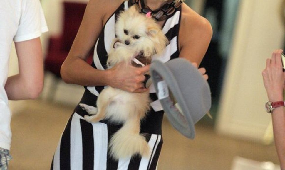 Paris Hilton su šuniuku