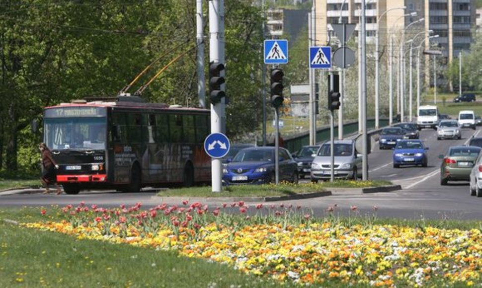 Vilniuje jau pražydo pernai spalį sodintos gėlės. Birželio pradžioje vietą jos užleis vasarinėms gėlėms. 