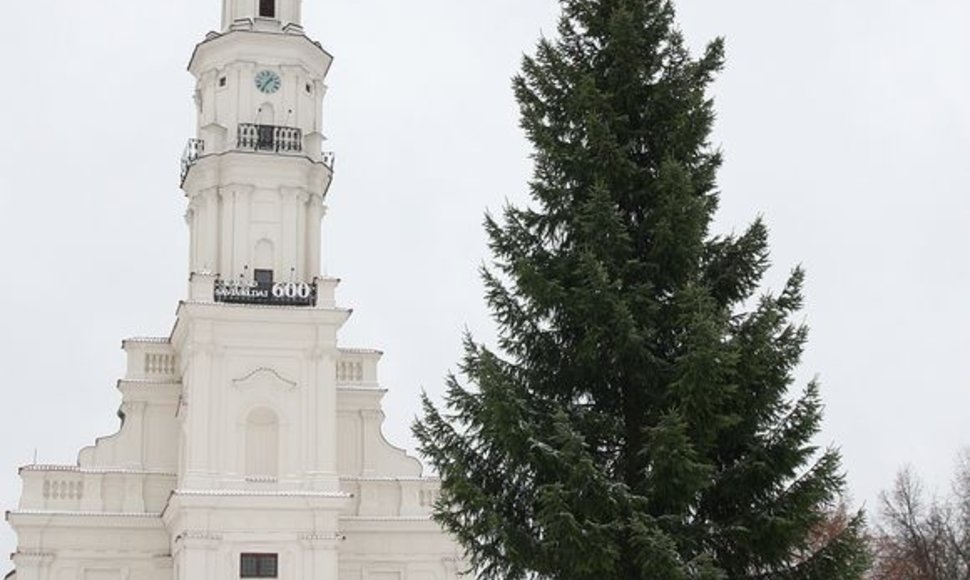 Rotušės aikštėje jau „apsigyvenusi“ žaliaskarė bus iškilmingai įžiebta šį šeštadienį.