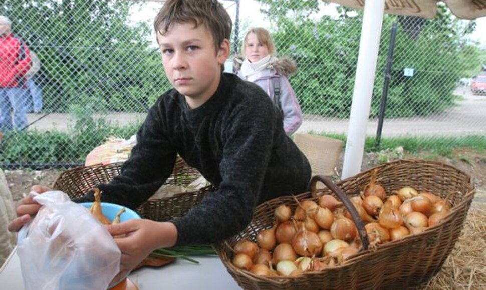 Ūkininkų prekyvietėje galima įsigyti visą būtiniausių prekių krepšelį - pieno produktų, duonos, pyragų, daržovių, vaisių, mėsos, medaus ir panašių gėrybių.