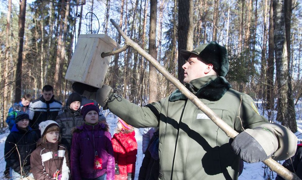 Verkių parke iškelti inkilai