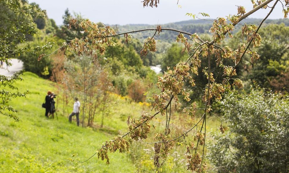 Išvalyti žadama apie 7 kilometrus Vilnios pakrančių