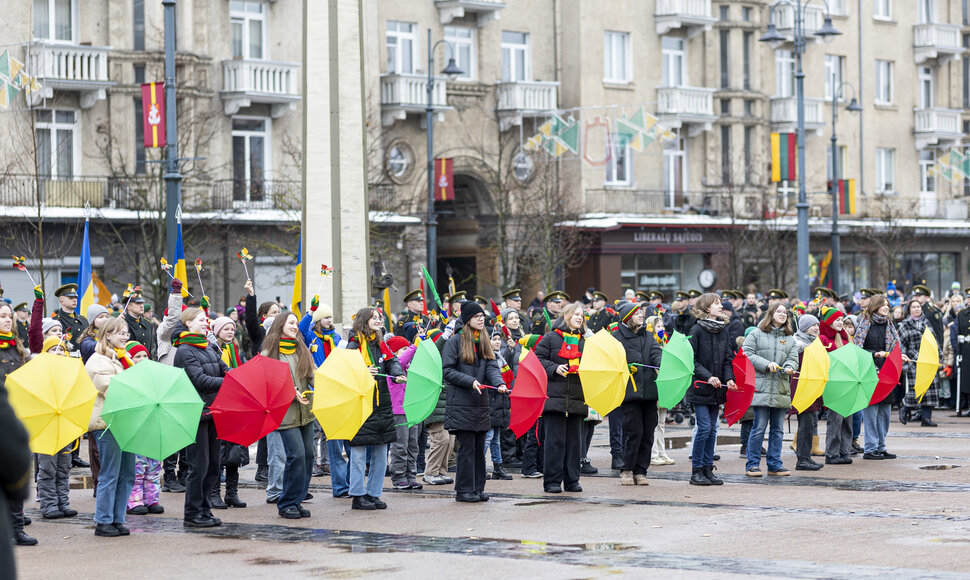 Kovo 11-osios proga, Baltijos valstybių vėliavų pakėlimo ceremonija