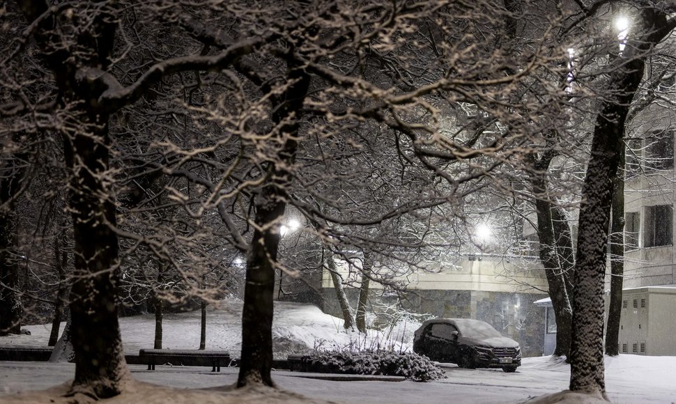 Vilniuje apsilankė pasakiško grožio žiema
