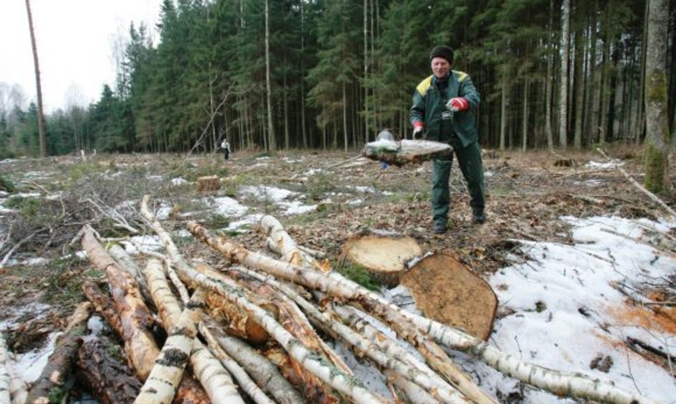 Klaipėdos rajono gyventojai siekia, kad Šernų ir Baičių miškai būtų rekreacinės paskirties, tik tuomet jie nebūtų kertami.