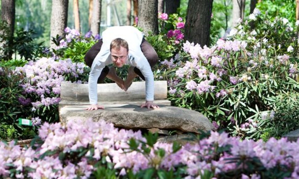 Joga