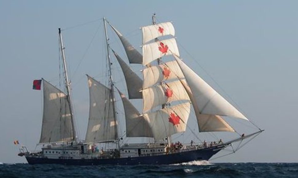 „Concordia“ laivas