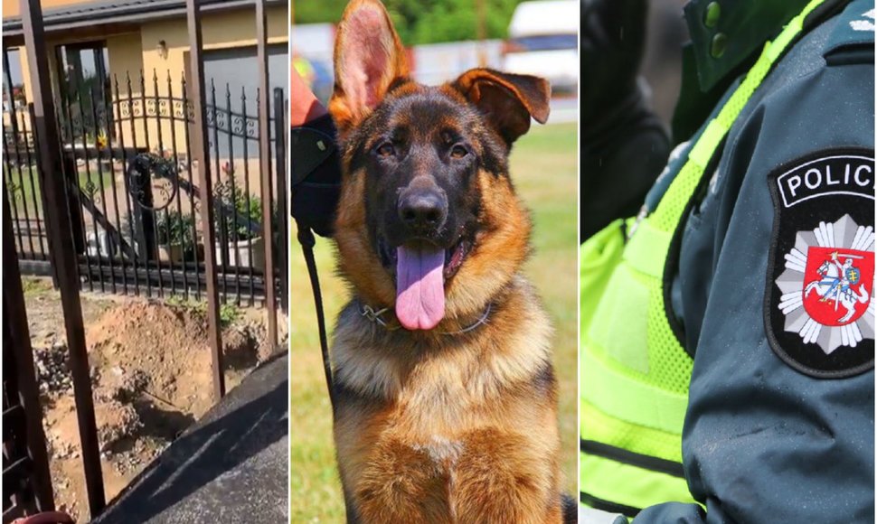 Kaimynų kova dėl šuns laikymo vietos: prireikė ir policijos vizito