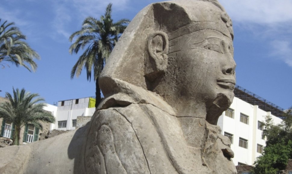 Luksore atrastas 12 sfinksų saugomas kelias  