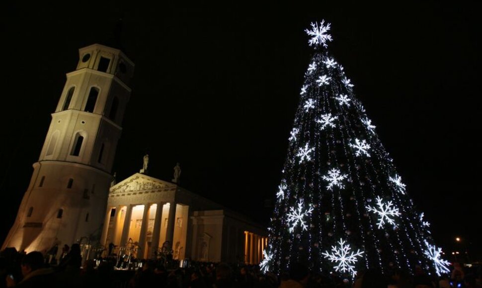 Vilniaus Katedros aikštės eglutė