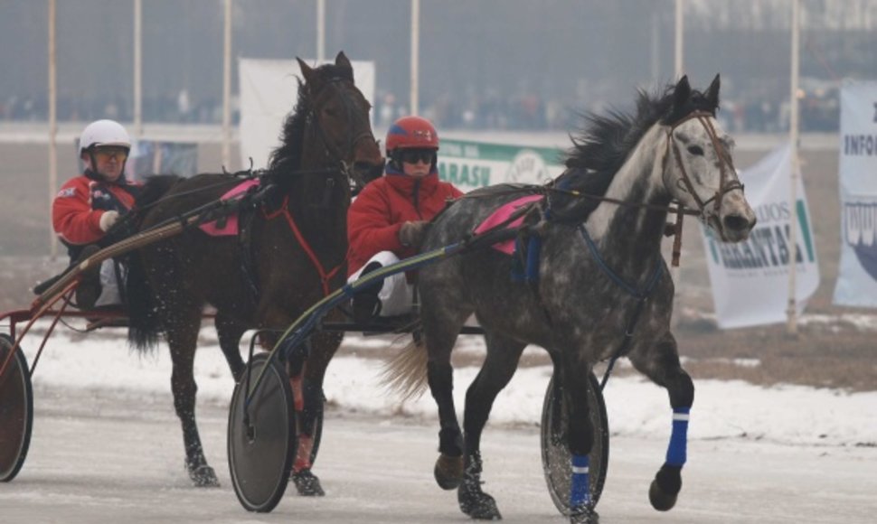 Tradicinės žirgų lenktynės „Sartai“ šiemet bus surengtos jau 105 kartą.