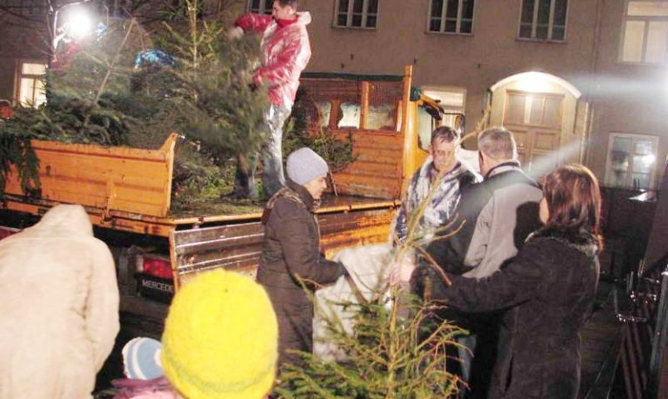 Beveik du dešimtmečius Vilniaus mokytojų namų rengiama šventė „Lik sveika, Kalėdų eglute“ yra neatskiriama Vilniaus kalėdinio šurmulio pabaigos dalis. 