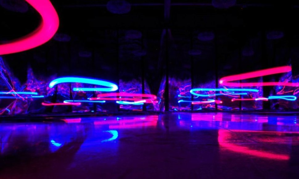 Hipnotizuojanti šviesos ir spalvų instaliacija „Pokylių salė“ („Ballroom“, 2010)