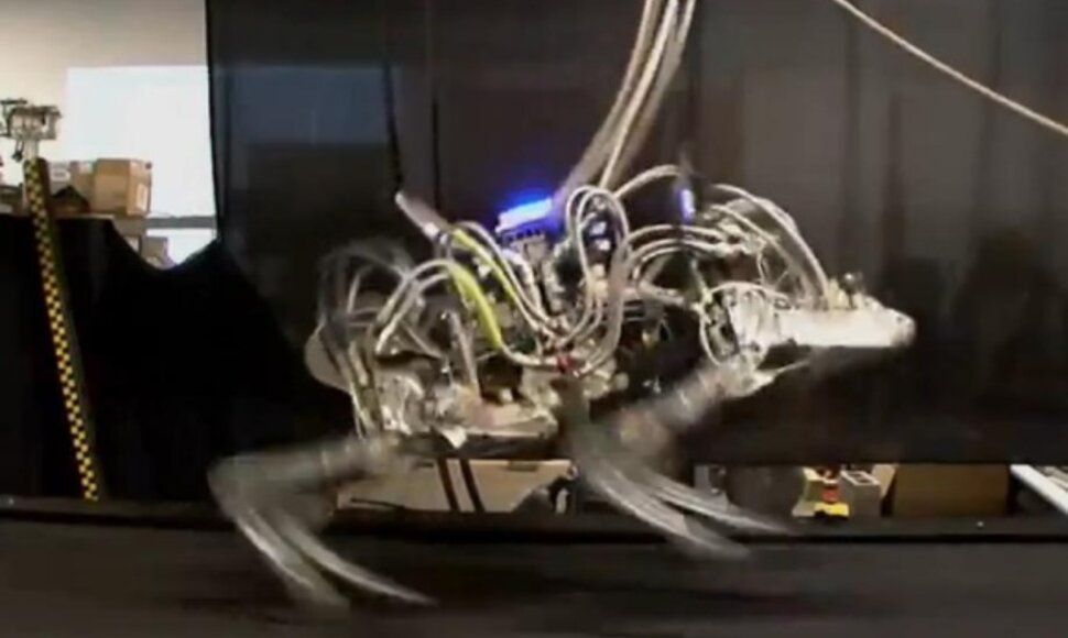 DARPA keturkojis robotas pasiekė greičio rekordą. 