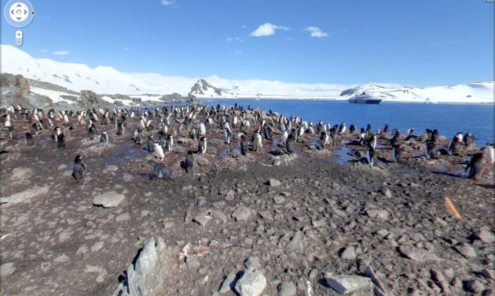 „Google Street View“ Antarktidoje.