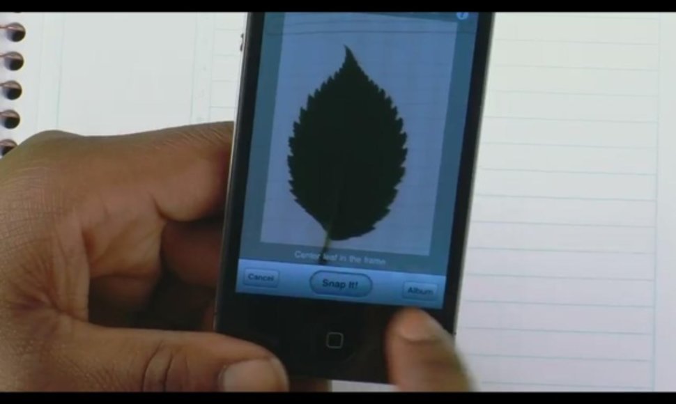 lProgramėlė „LeafSnap“ atpažįsta augalus pagal jų lapus. 