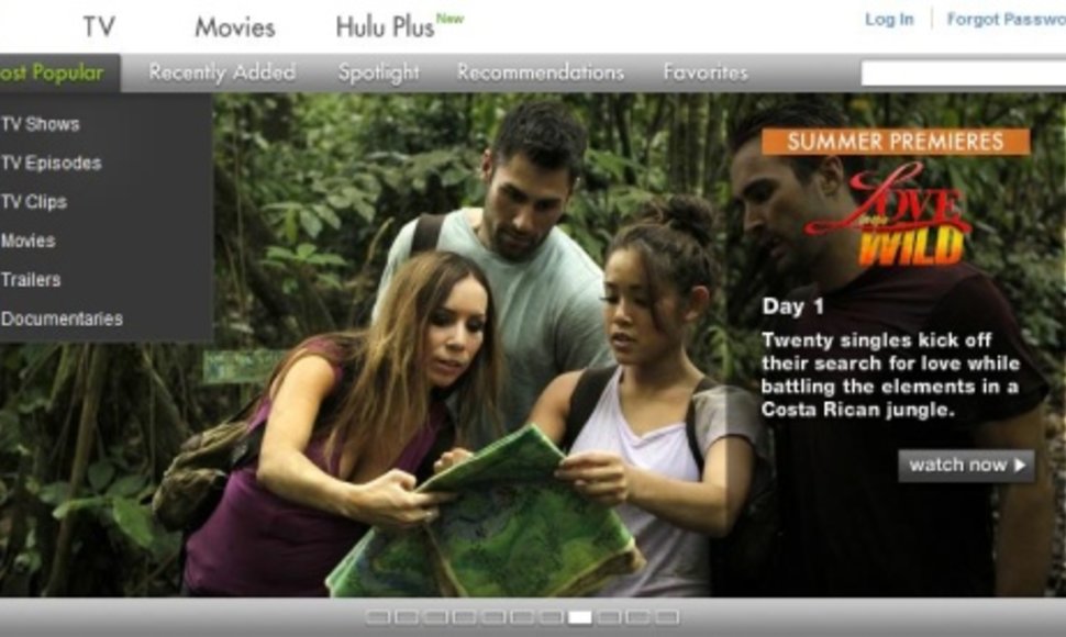 „Hulu“ vartotojams siūlo internetu žiūrėti populiarias laidas, serialus, filmus. 