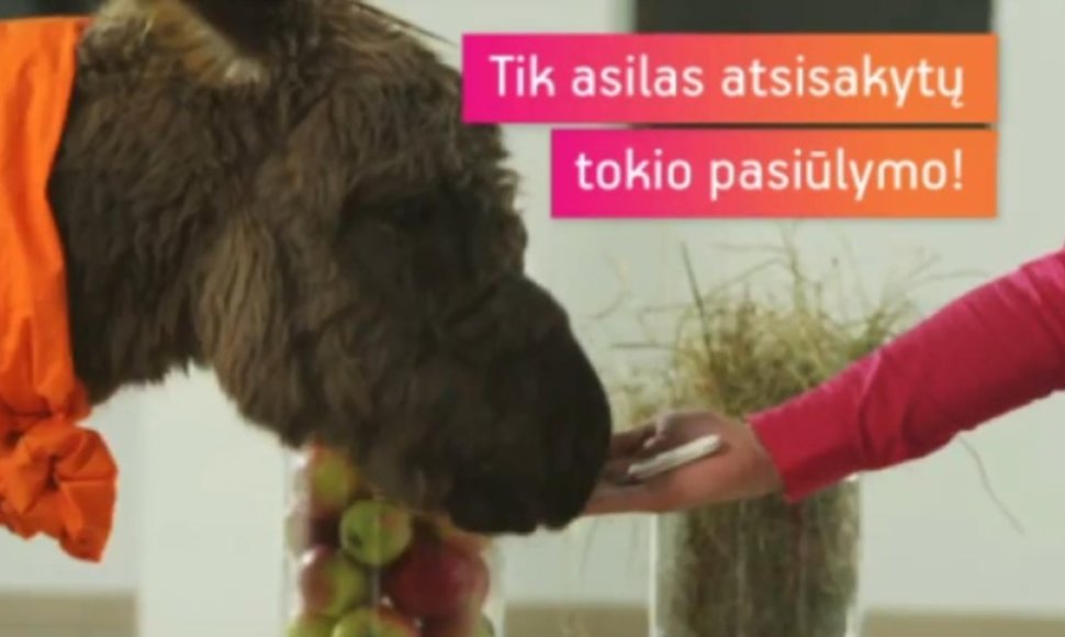Lietuvos reklamos biuras teigia, kad mobiliojo interneto „Mezon“ reklama, kurioje vartotojai lyginami su asilu, beždžione ir višta, pažeidė Lietuvos reklamos etikos kodeksą. 