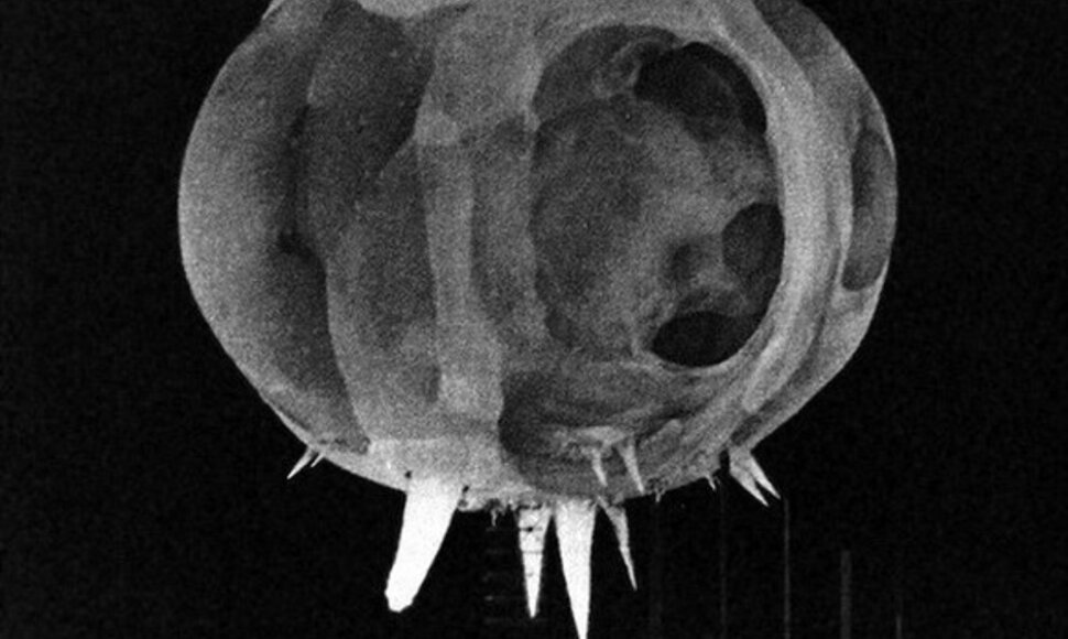 Operacijos &bdquo;Tumbler-Snapper&ldquo; metu 1952-aisiais susprogdinta 1 kilotonos atominė bomba.
