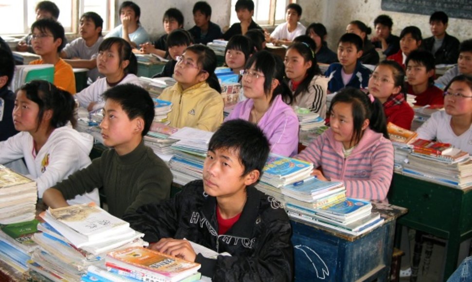 Mokyklos kinų emigrantų vaikams steigiamos tose užsienio šalyse, kur telkiasi didelės kinų bendruomenės.