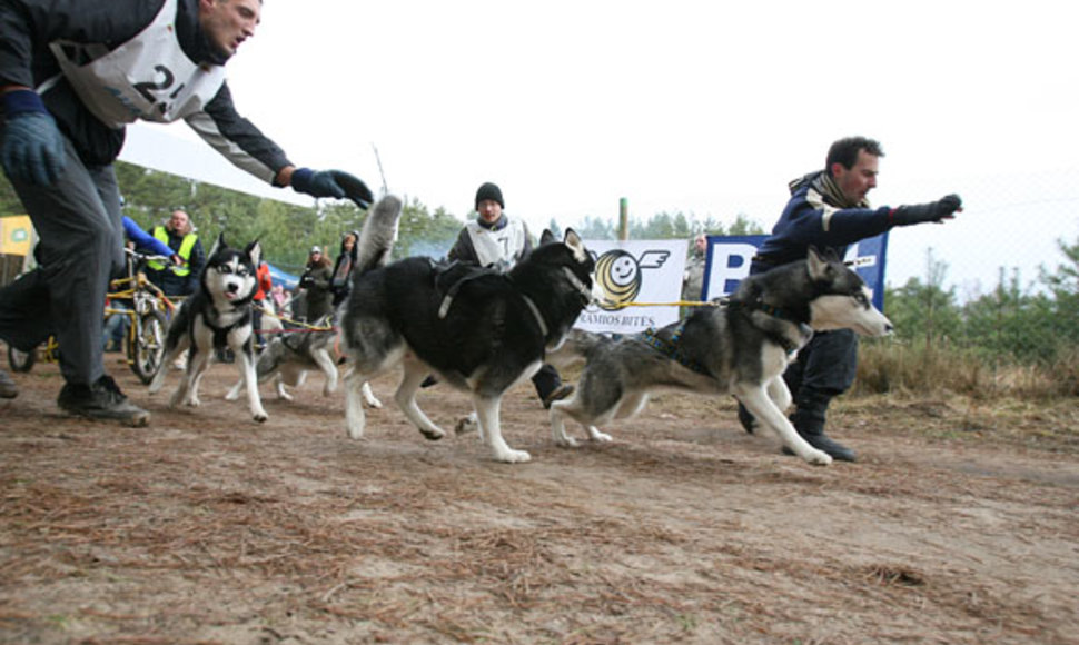  Tarptautines šunų kinkinių ir orientacinio žygio su šunimis varžybos „2009-uosius palydint... arba Kalėdinė taurė“