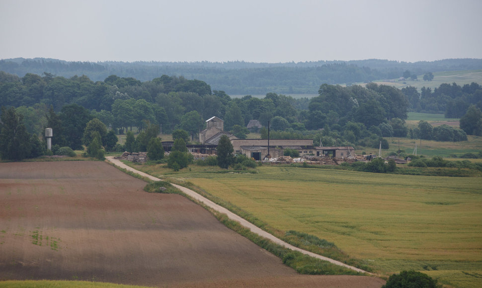 Tytuvėnų apžvalgos bokštas