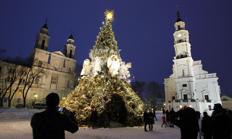 2012 metų eglė