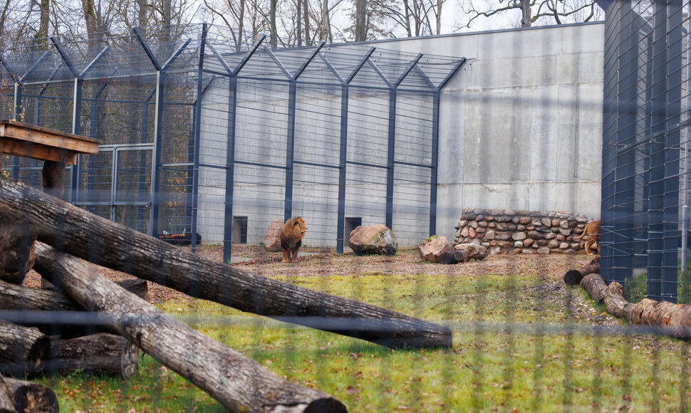 Atsinaujinęs Lietuvos zoologijos sodas