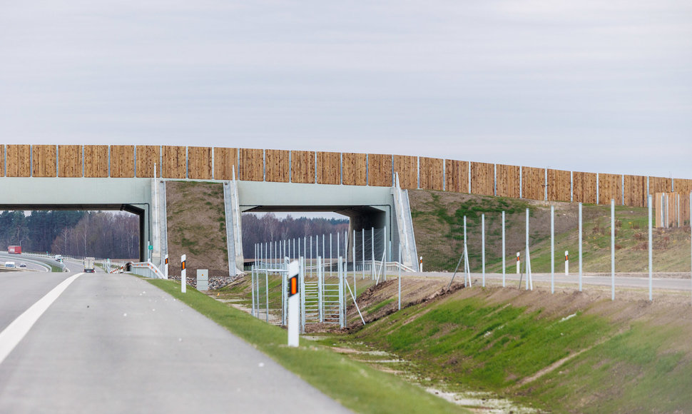 The Bridge of Beasts over the A5 motorway