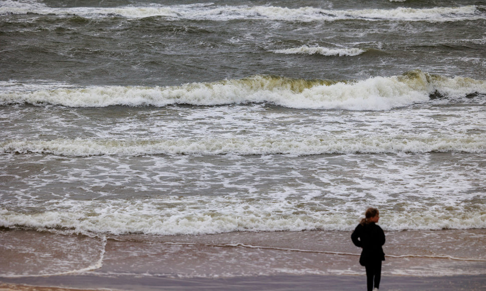 Vėjuota Palanga