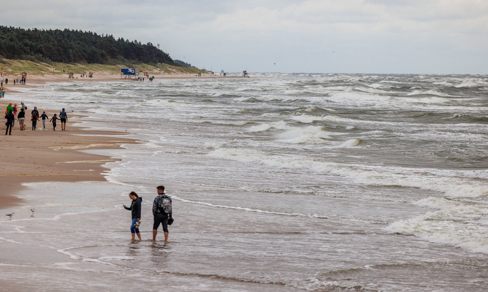 Vėjuota Palanga