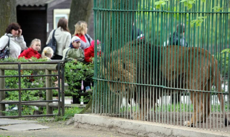 Zoologijos sode