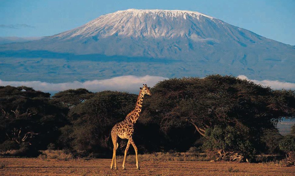 Kilimandžaras