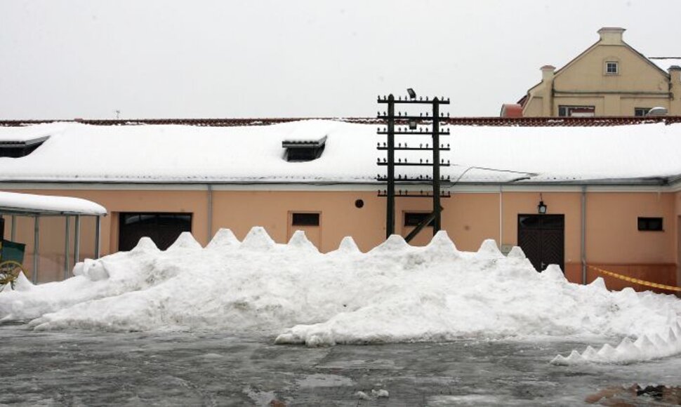 Moksleivių sukurtas sniego drakonas