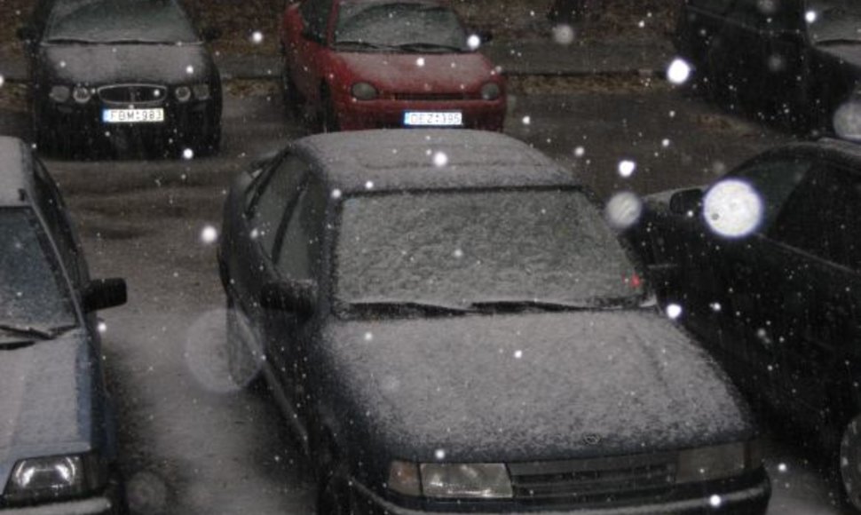Sninga ir Kaune