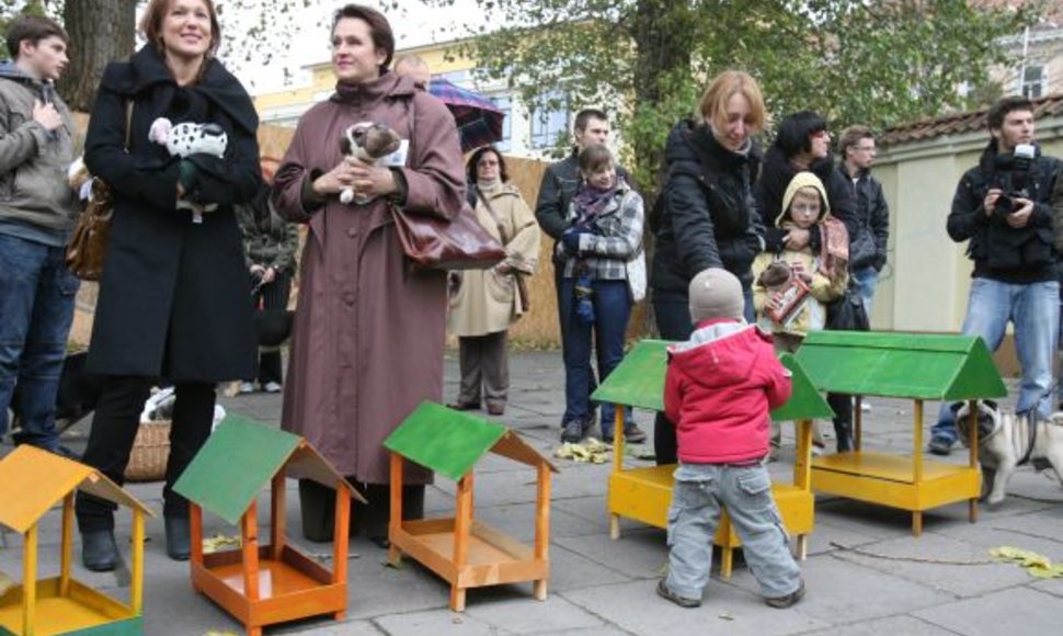 Artimiausiu metu bent aštuoniose Vilniaus vietose turėtų atsirasti štai tokios šėryklos, skirtos maitinti beglobes kates.