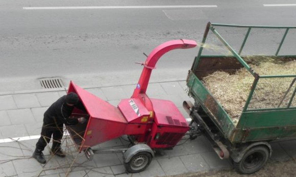 Genėjami medžiai, krūmynai smulkinami vietoje. 