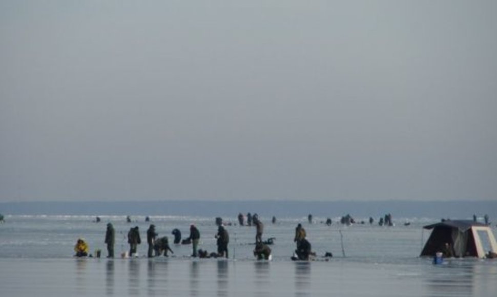 Žvejai traukia ant Kuršių marių ledo.