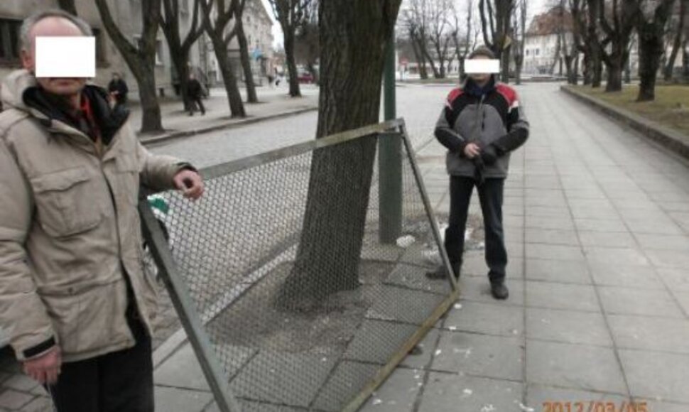 Du benamiai vidury dienos Klaipėdos gatvėmis nešėsi pavogtą universiteto tvorą.