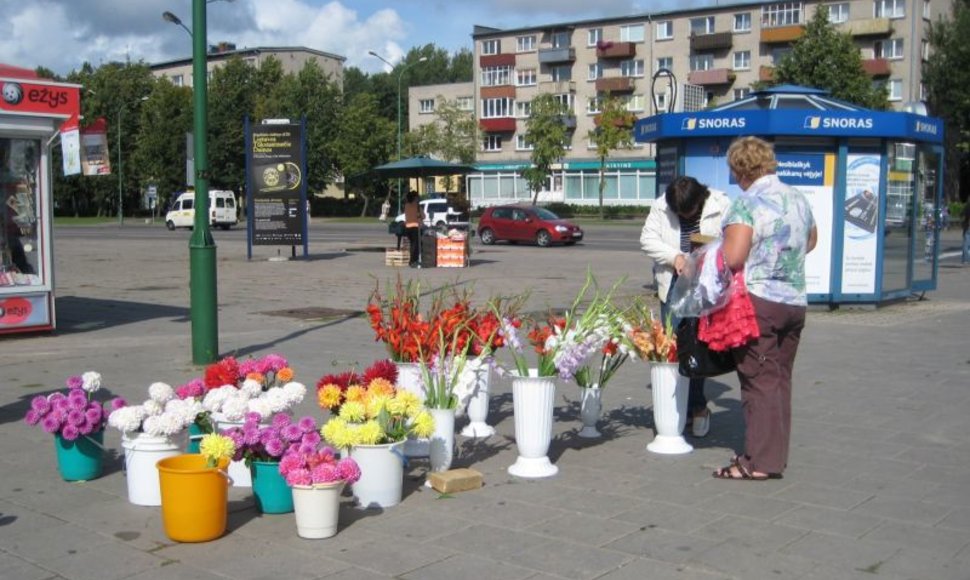 Klaipėdos turgavietėse ir miesto gatvėse kardeliai pirmadienį kainavo nuo 1.5 iki 3 litų. 
