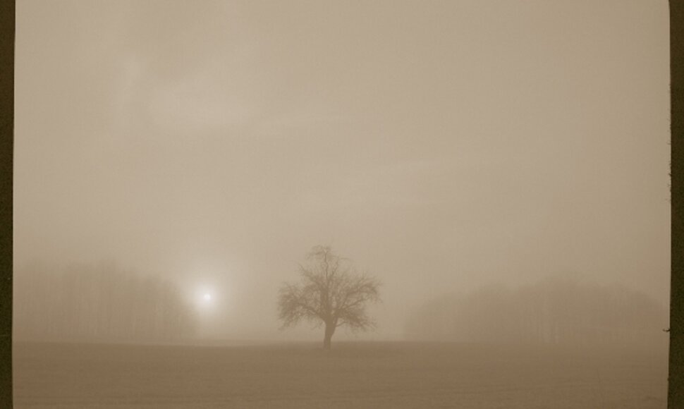 A.Šeštoko fotografija
