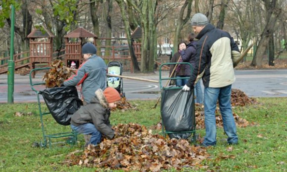 Iniciatyvūs klaipėdiečiai prigriebė beveik 300 kg lapų. 